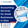 Accounting Services for Small Businesses in Ohio