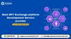 Best NFT Exchange platform Development Service provider