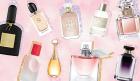 Buy Best Perfumes for Men and women Online | Fragrances | Body sprays In India