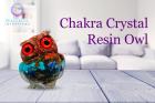 Chakra Crystal Resin Owl