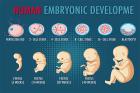 Courses in Clinical Embryology