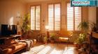 Elevate Your Lexington Space with Window Shades and Blinds