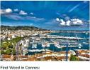 How and Where to Get Weed in Cannes