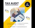 Minimize Tax Liabilities: Your Tax Audit Supporter