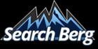 Monthly SEO Packages & Pricing - Search Berg