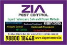 Cockroach Pest control service | Residence | School | Flat | 1840