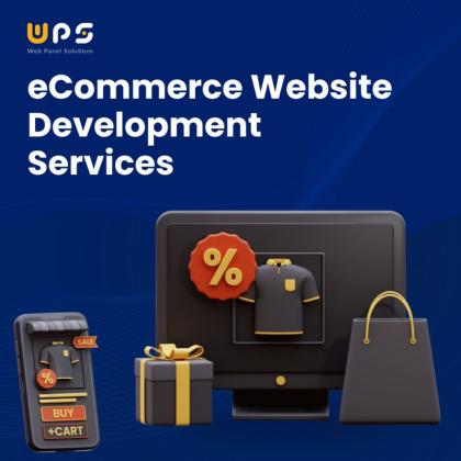 Custom Ecommerce Website Development Services - Web Panel Solutions