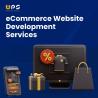 Custom Ecommerce Website Development Services - Web Panel Solutions