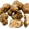 Where can I buy magic truffles in the US?