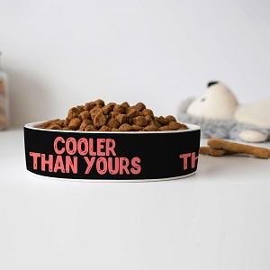 Make mealtime fun with this cool design pet bowl
