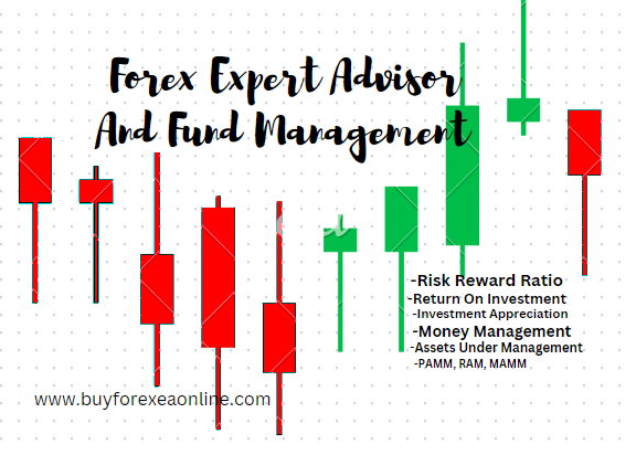 USE  OUR ROBOTS TO TRADE ON FUNDED TRADERS PROGRAMS