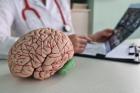 Neurosurgeon New Braunfels,TX
