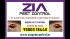 Zia Pest control | Garden pest control |  Cockroach |  Rodent control 1952 |