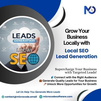 Local SEO Lead Generation in India | Microcode Software