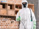 Eco-Friendly Orange Oil for Termite Treatment - Ecola Termite