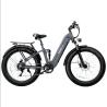 Lease an Ebike with Zero Commitment - Affordable and Flexible eBike Leasing!