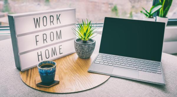 Earn Easy Work $$$