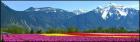 KASHMIR PACKAGES FROM BANGALORE