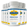 Prociva (MY PERSONAL OPINION) As A Doctor I highly recommend you take Simple Promise Prociva!