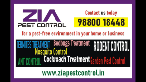 Zia Pest control deep cleaning service | Upto 40 % Off  |  3015 | Whitefield