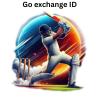 A Beginner’s Guide to Go Exchange ID