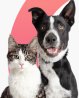 Compassionate & Trusted Veterinarian in Burlington, ON