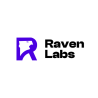 MS Dynamics CRM - Raven Labs