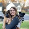 Professional Dog Trainer Tampa FL