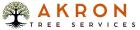 treeservicesakron.com