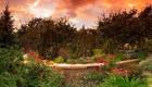Tropical Landscaping Draper
