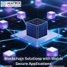 Unlock Secure and Scalable Blockchain Solutions with Matrix Secure Applications