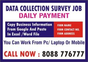 Tips to make income at Home | Data Survey Job | Daily  payment | 3050