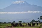 Explore the Wonders of Mount Kilimanjaro and Mombasa