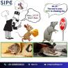 Rodent Control Services in Bangalore | Rat Control | SIPC