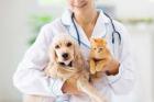 Trusted Animal Hospital in Smyrna, GA