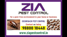 Zia Pest Control Bangalore | Specail Discount for Cockroach service |