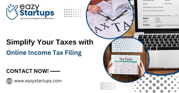 Simplify Your Taxes with Online Income Tax Filing