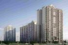 Ace Terra 3 & 4 BHK Apartment Sale