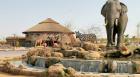 Experience the Best of Wildlife at Dubai Safari Park
