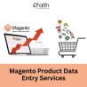 Magento Product Data Entry Services | Accurate & Efficient Solutions