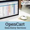 Reliable OpenCart Data Entry Services