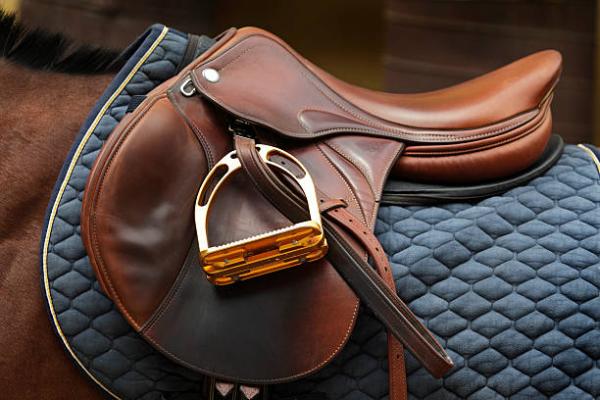 Premium Riding Accessories: Saddle Strings, Stirrup Pads, Western Fenders & English Leathers in Malibu