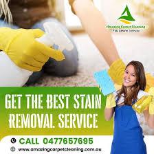 Your Trusted Carpet Cleaning Experts in Ipswich
