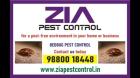 Bedbug Pest Control | Special Discount for Paying Guest and Hotels | 5018