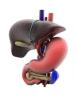 Best Oncologist Surgeon in Dehradun - Dr. Sachin Arora