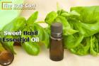 High-Quality Sweet Basil Essential Oil from The Bulk Cart