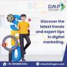 SEO Consulting Services by D Marketing Pro - Best SEO Agency in Noida