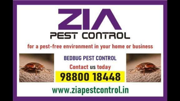 Bed Bug pest Treatment | Hotels and Restaurents | bedbugs Control | 6002
