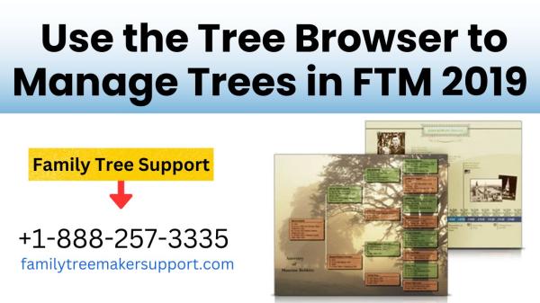 How to Use the Tree Browser to Manage Trees in FTM 2019?