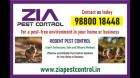 Get rid of Rodent | Bed Bug pest Control | Residence and office  |  5081